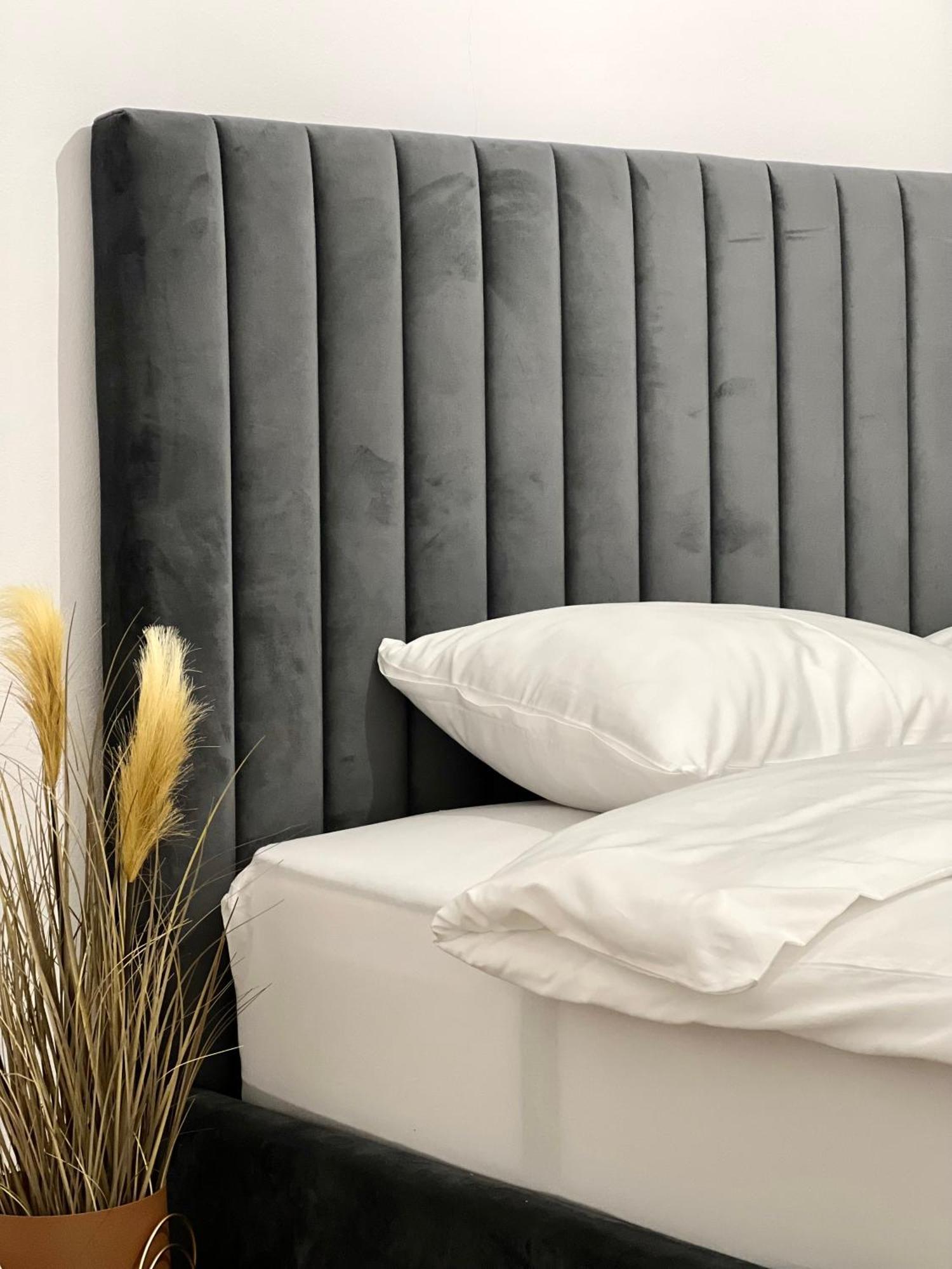 Transylvania Central Apartment كلوج-نابوكا المظهر الخارجي الصورة